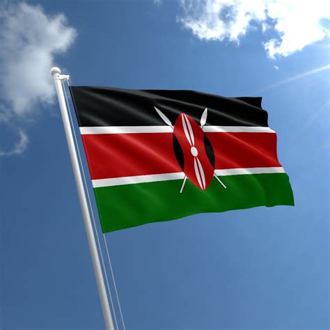 Nasa Senator Proposes Bill To Allow Kenyans Hoist National Flag In