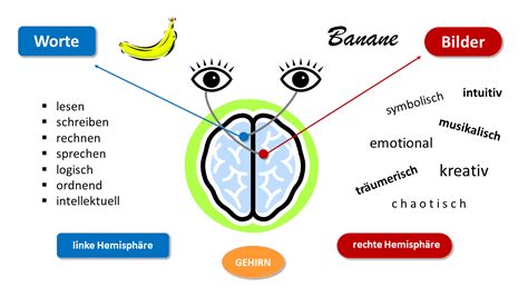 Gehirngerecht Lernen E Learning Ausbilderwelt