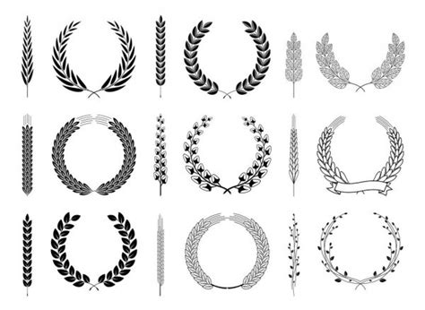 Laurel Wreaths And Branches Vector Collection Stock Vector Image By