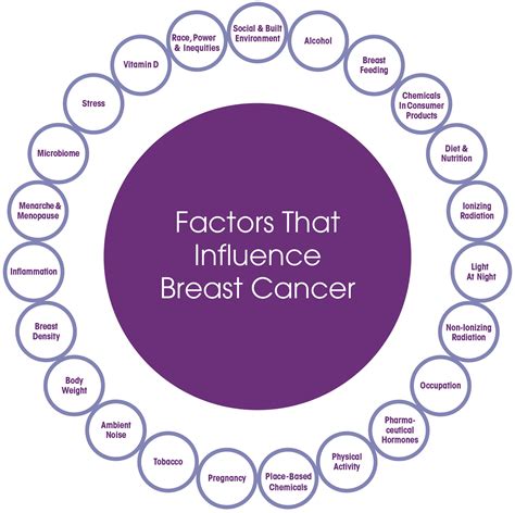 Breast Cancer Risk Factors Breast Cancer Prevention Partners Bcpp