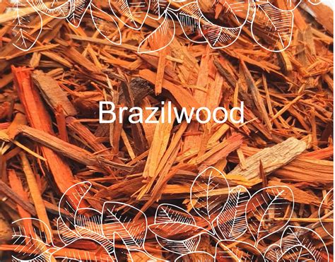 Brazilwood Brazilwood Dye Sappan Sappan Wood Dried Herb Etsy
