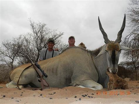 Trophy Hunting The Eland In South Africa Ash Adventures