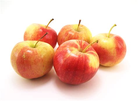 Free photo: Five apples - Apples, Diet, Five - Free Download - Jooinn