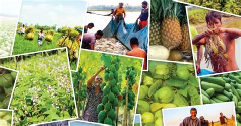 Agriculture In The Spotlight In Covid Hit Bangladesh Prothom Alo