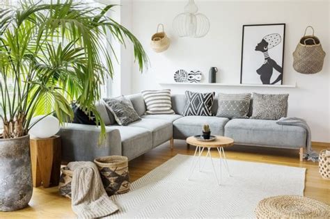 10 Living Room Plant Ideas That Work Amazingly Well Residence Style