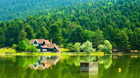 Landscape View Of House Trees Forest Mountain Background Reflection On