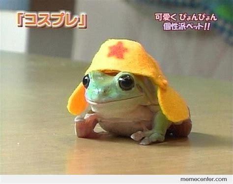 Keroro Gunso Sergeant Frog By Ben Meme Center