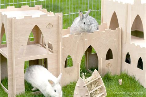 Hoppy Hampton Bunny Castle Package Bunny Cages Bunny House Bunny Room