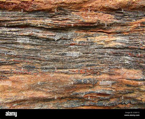 Silicified Wood Texture Background Stock Photo Alamy