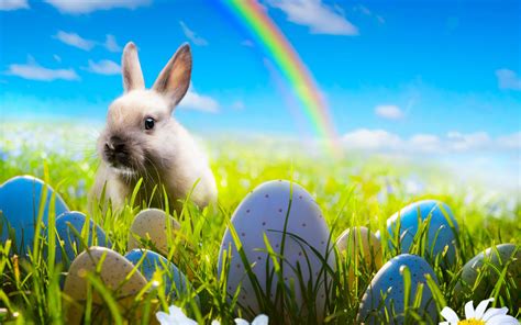 Easter Rabbit Wallpaper HD Baltana