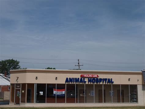 Healing Care Animal Hospital 13 Reviews Veterinarians 7430 Allen