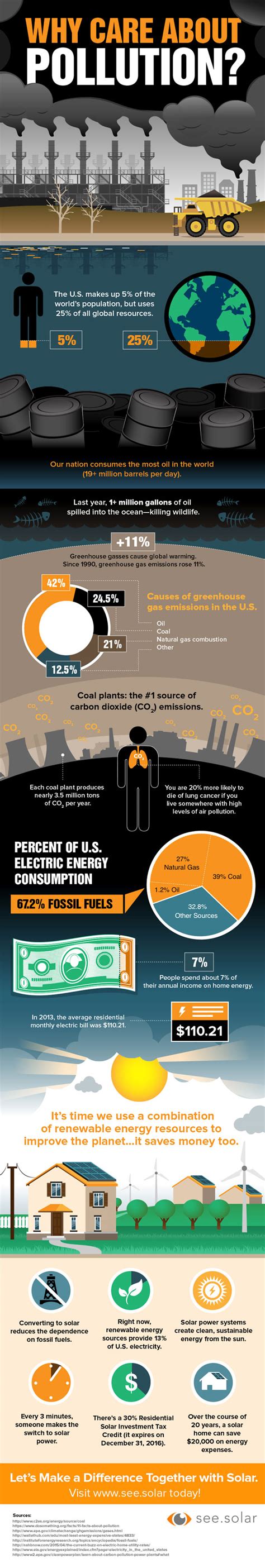 Why You Should Care About Pollution Infographic Best