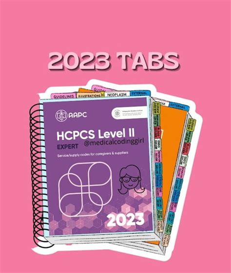 Tabbing System Hcpcs 2023 Book Not Included Etsy Australia