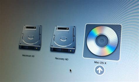 Herzlich Willkommen Veraltet Weide Mac Os X Lion Install Dvd Temperatur