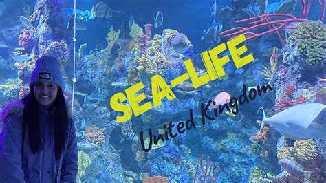 Sea Life Bristol Aquarium Top Sealife In Uk Underwater Tunnel