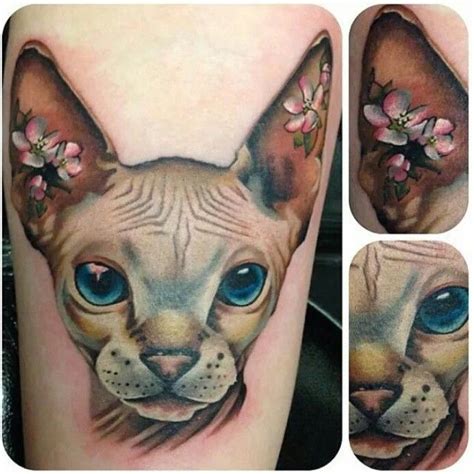 Sphinx Cat Tattoo By Jen Sterry Sphinx Cat Tattoo