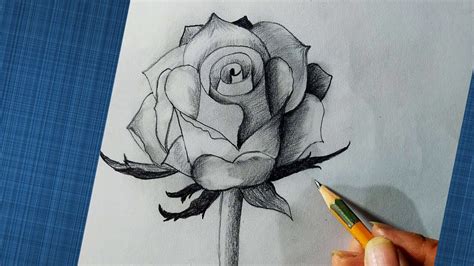 Hướng Dẫn Từng Bước Cách Vẽ Một Bông Hoa Hồng Siêu Đẹp Vẽ Hoa Hồng