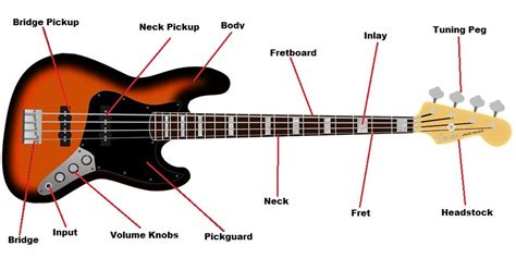 In the diagram below, the red notes depict open strings; Bass Guitar Parts 101: The Parts That Make the Music - StringVibe