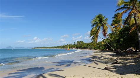 Martinique Sainte Anne Grande Anse Des Salines Youtube