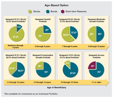 Age Based Option Hi529