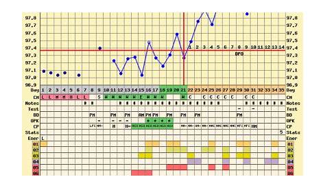 implantation dip bbt chart sample