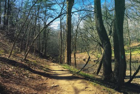 Jogging in a park near the river. Running Trails Near Me! - Find Local Running Paths in DC