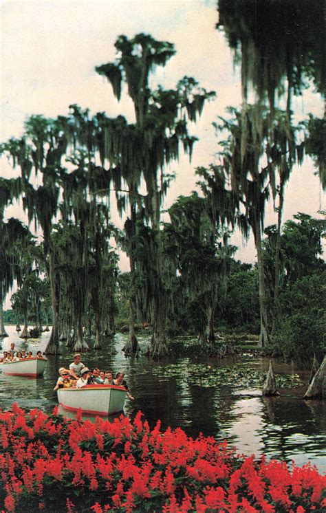 Postcard Sightseeing Boats Cypress Gardens Florida Etsy In 2020