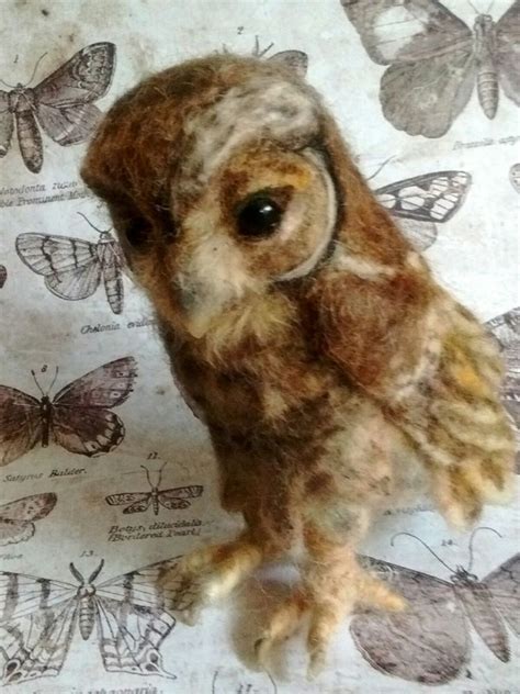 Original Cute Needle Felted Flamulated Owl Owlet By Artist Robin Joy