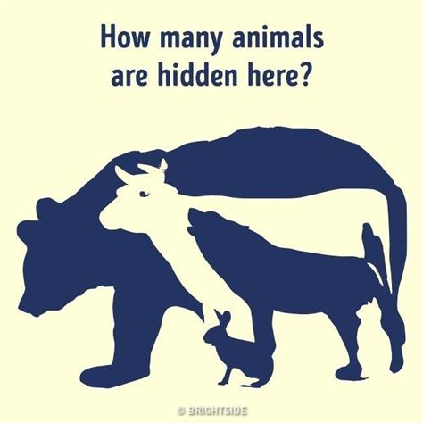 How Many Animals Are Hidden In This Picture Only 1 Of People Can Find