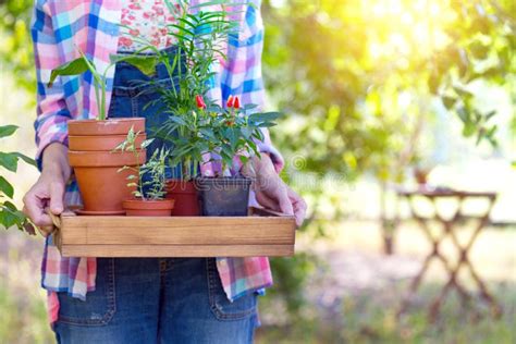 Girl Plants A Plant Stock Image Image Of Environmental 139416605