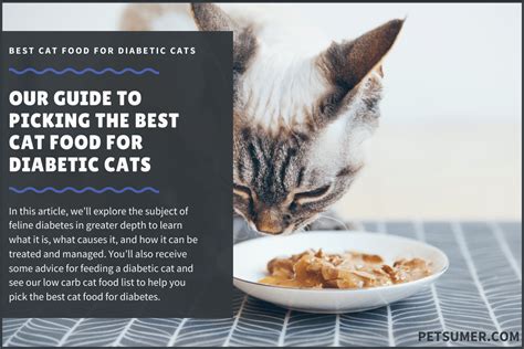 7 things to look for when picking a cat food for diabetic cats. 10 Best Cat Foods for Diabetic Cats in 2020