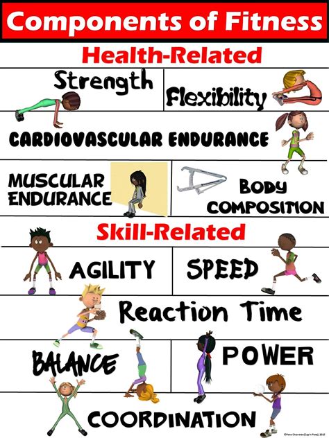 Pe Poster Components Of Fitness Health And Skill Related
