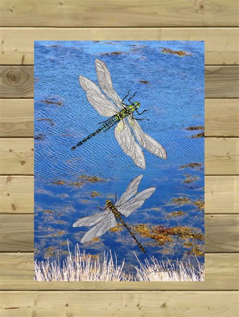Dragonfly Print Dragonfly Picture Scenic Print Dragonflies On Blue