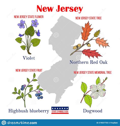 New Jersey Set Of Usa Official State Symbols Stock Vector