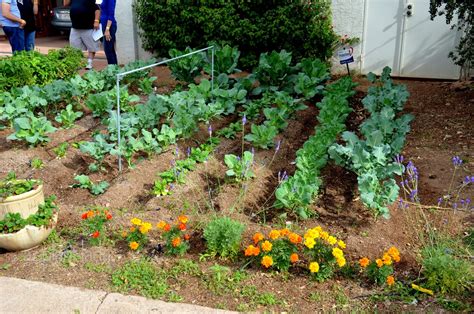 Vegetable Gardens In Unexpected Places Ramblings From A