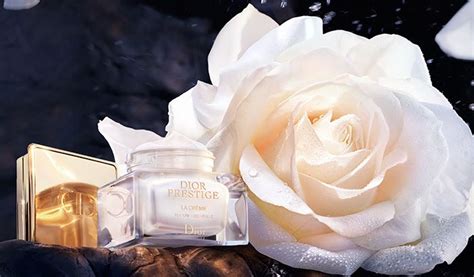 Armocromia Make Up Dior Prestige Makati The Prestige Dior Perfume