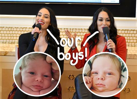 Nikki And Brie Bella Introduce Their Sons Meet Matteo And Buddy Perez Hilton