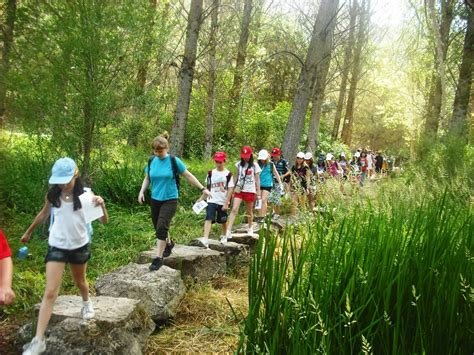 Caminatas Ecológicas Con Colegios Awalí Colegios Salidas Pedagógicas