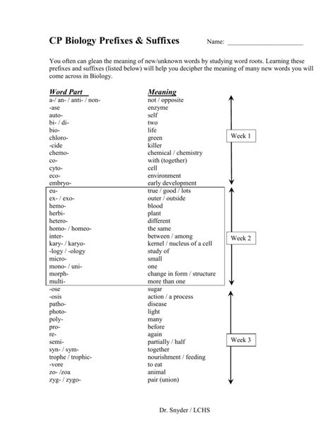 Biological Prefixes And Suffixes Worksheet