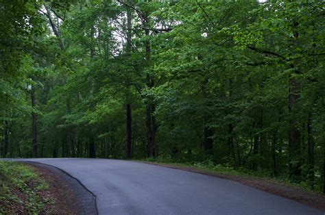 At turkey creek nature preserve, photo from hands on birmingham via facebook. Turkey Creek Preserve | Slideshow of all my photos from ...