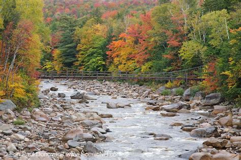 East Branch Of The Pemigewasset River Near The Lincoln Woods Visitor