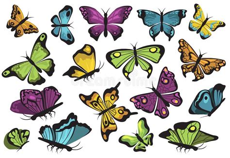 Set Different Butterflies Flight Stock Illustrations 454 Set