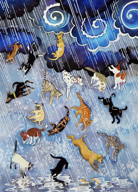 Can It Really Rain Cats And Dogs