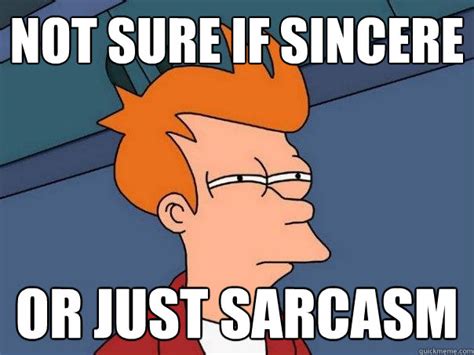Not Sure If Sincere Or Just Sarcasm Futurama Fry Quickmeme