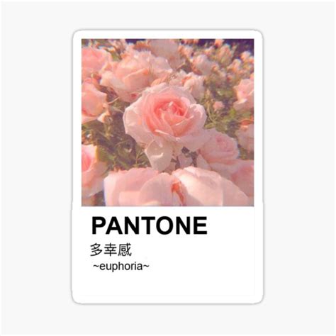 Pantone Aesthetic Roses Sticker By Mdevnanda Redbubble