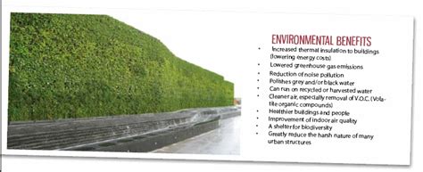 Green Walls Natural Habitats Sandra Batley Nz Nz Landscape Design