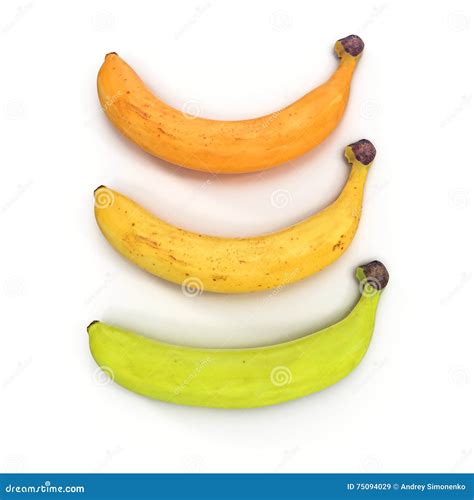 Green And Yellow Bananas On A White 3d Illustration Stock Illustration