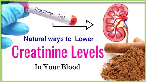 6 Natural Ways To Lower Creatinine Levels In Body Youtube