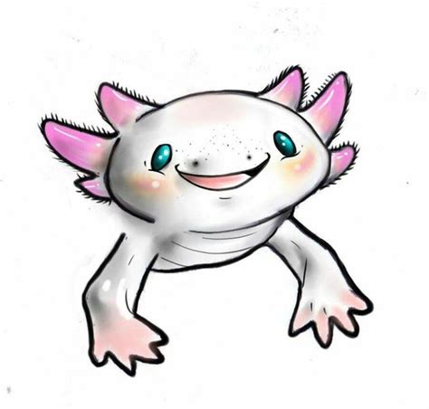 Axolotl Ajolote Dibujos Ilustraciones