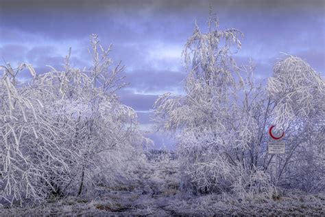 Winter Landscape Free Stock Photo Public Domain Pictures